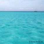 2008-05-30-6171-150c.jpg (photo)