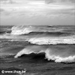 2009-04-12-4811-150c.jpg (photo)